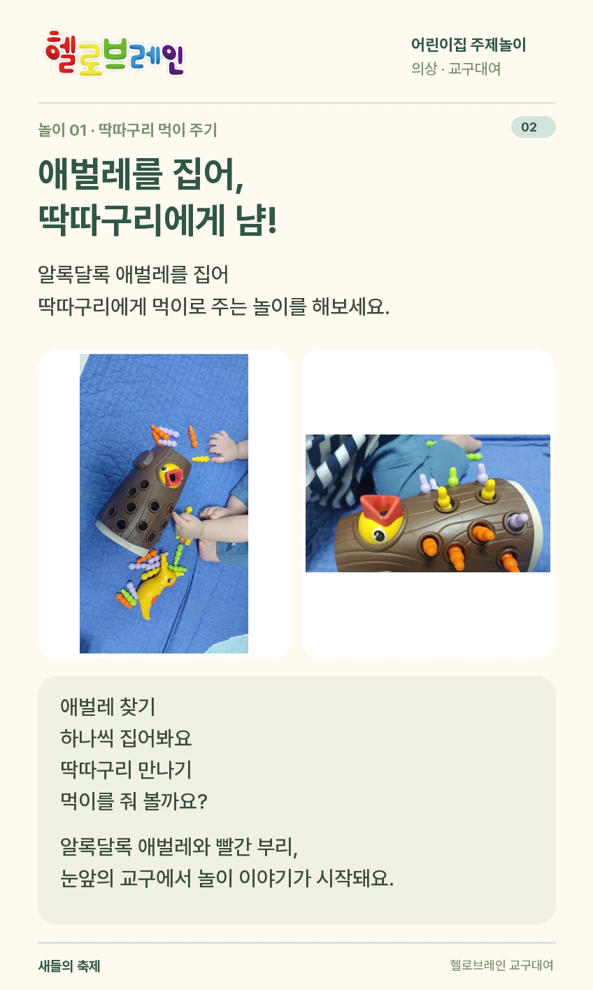 새들의 축제 상세 안내 2