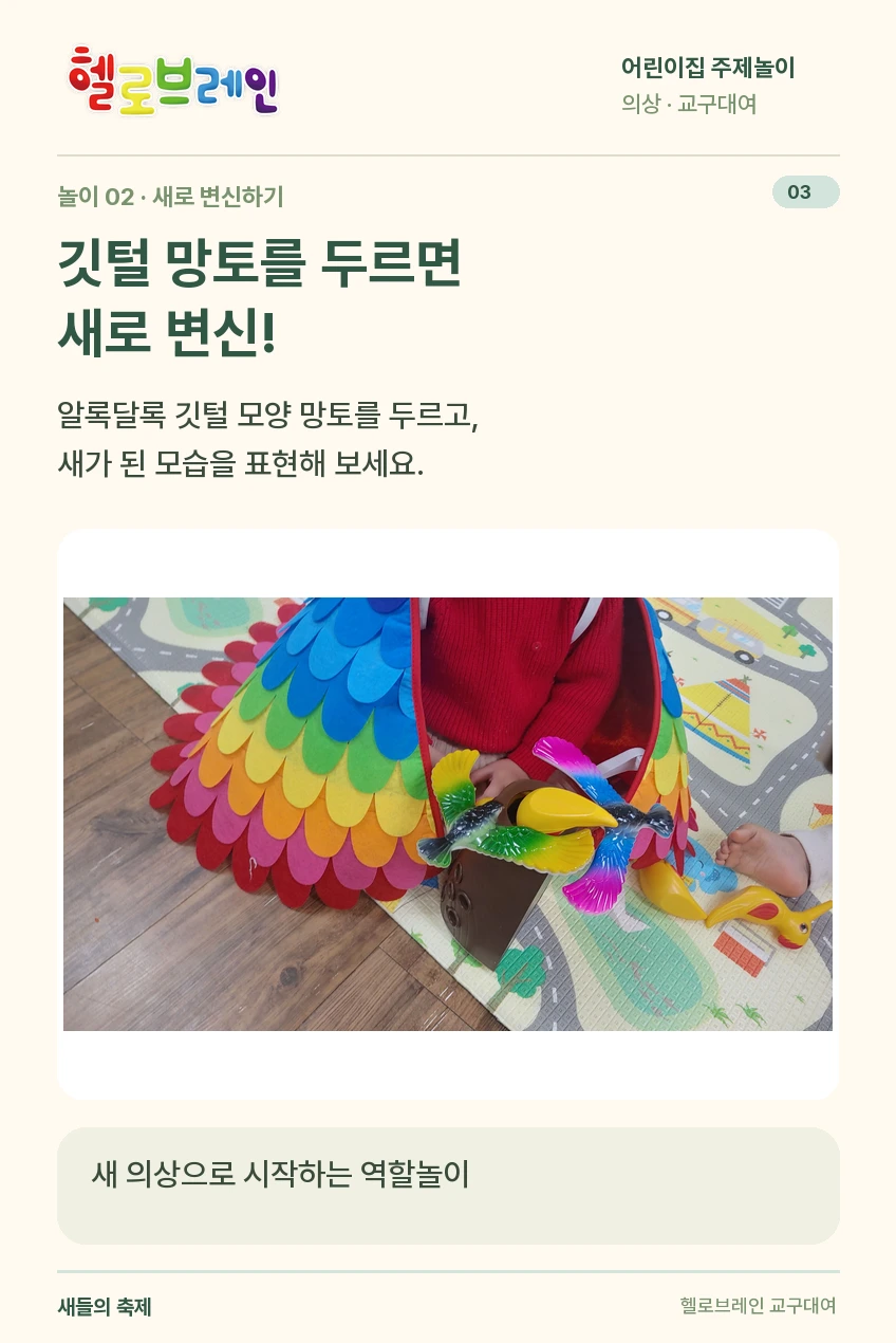 새들의 축제 상세 안내 3