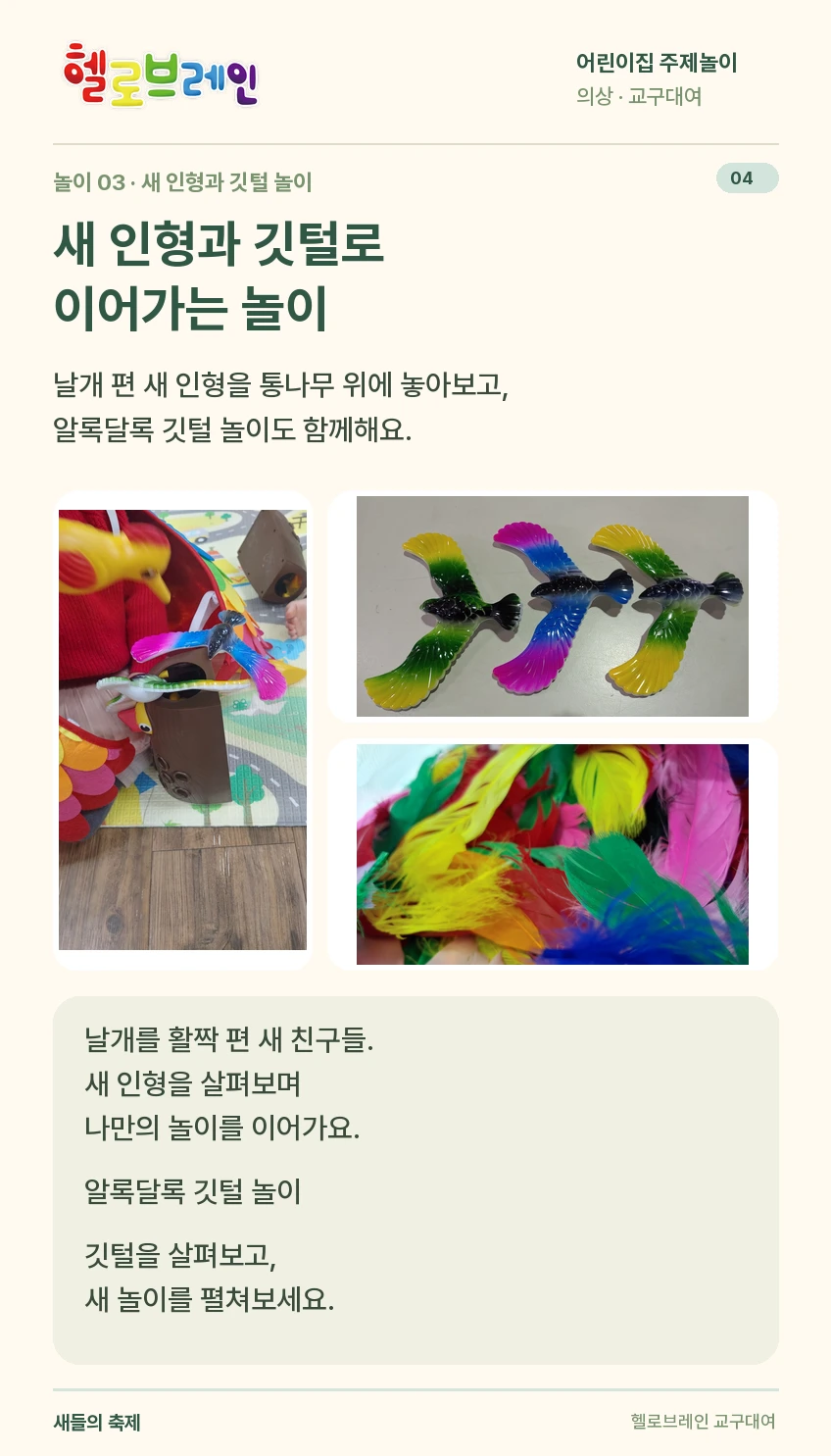 새들의 축제 상세 안내 4