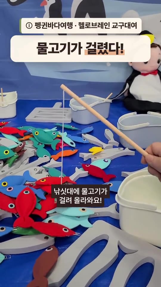 펭귄바다여행 영상 미리보기